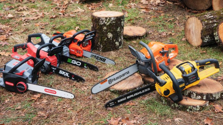 6 Best Chainsaws of 2024 - Reviewed