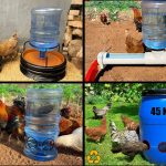 Rodent, bird and weather-proof chicken feeder | DIY garden projects |  Gardening Australia - YouTube