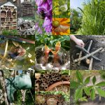 20 ways to make a home for wildlife in your garden – Childsplayabc ~ Nature  is our playground