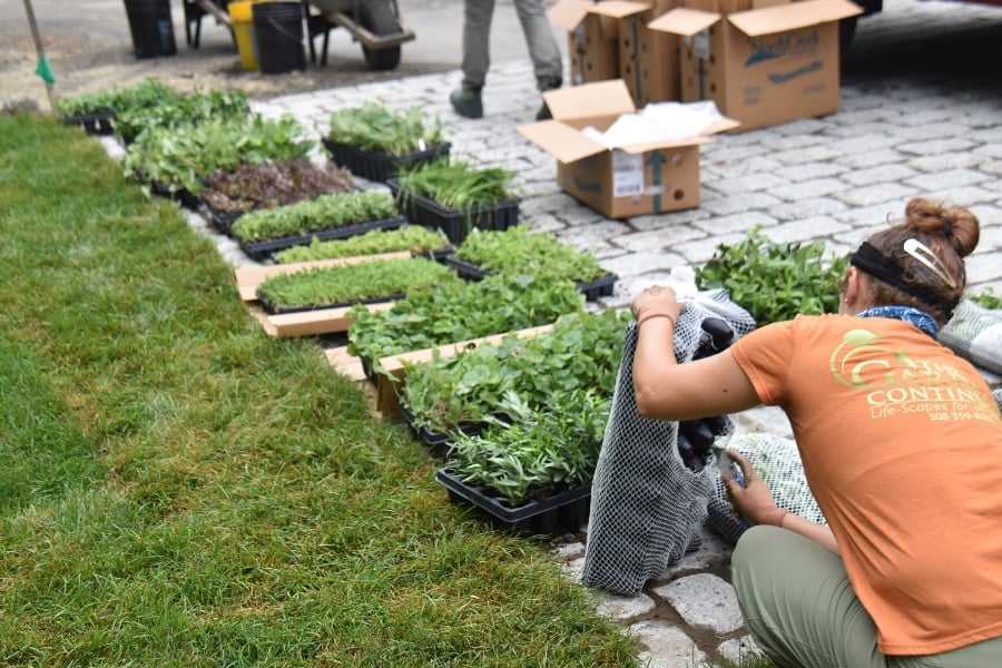 How to Rethink Residential Gardening for Climate Change