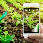 What is Smart Gardening? - The HD Group