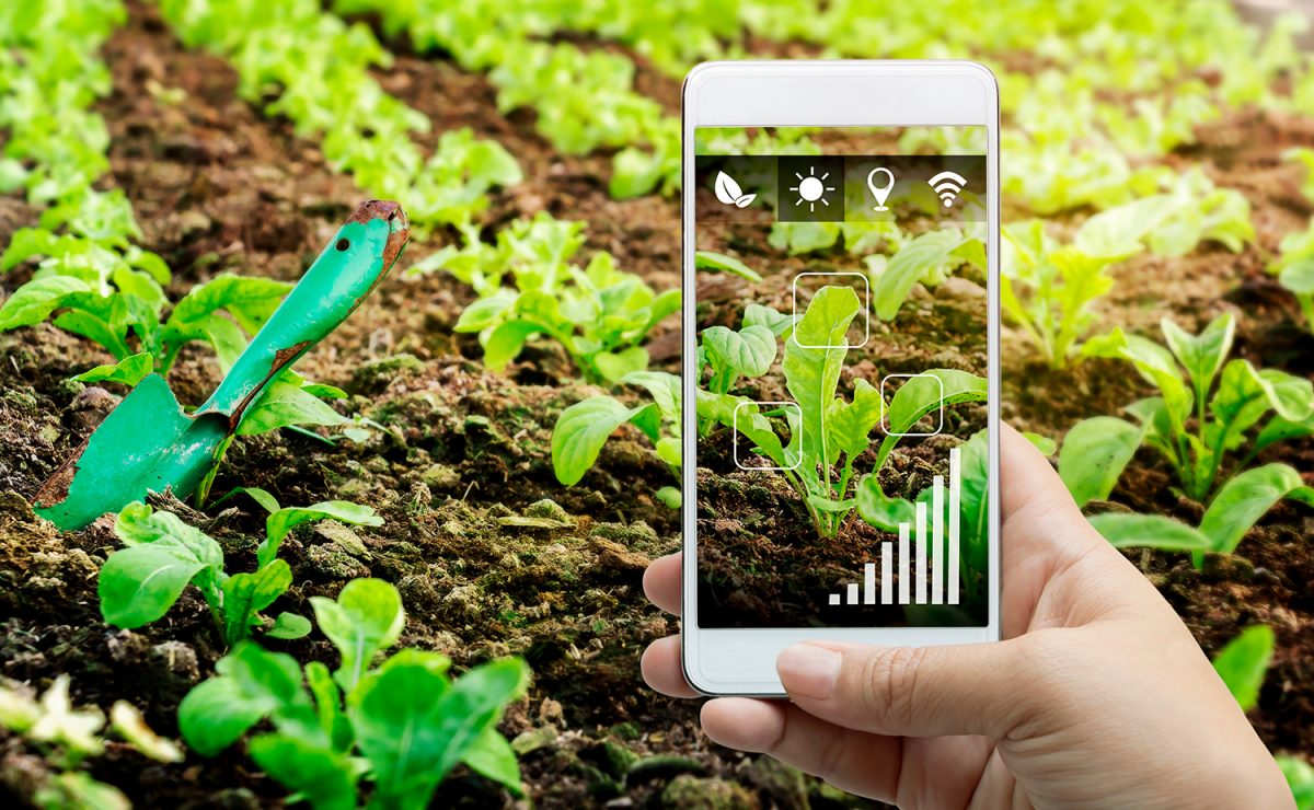 What is Smart Gardening? - The HD Group