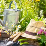 Spring Gardening Tips: 10 Essentials You Wish You Knew Earlier