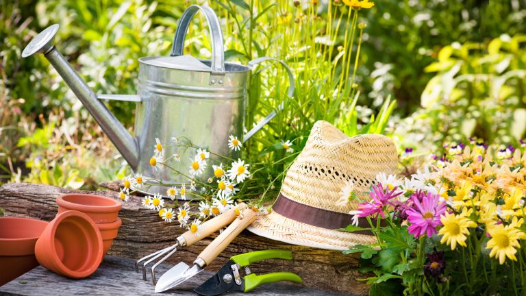 Spring Gardening Tips: 10 Essentials You Wish You Knew Earlier