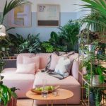 Indoor urban jungle – Bakker.com