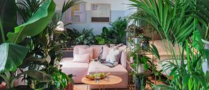 Indoor urban jungle – Bakker.com